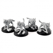 UNITY COUNCIL STIM HOUNDS