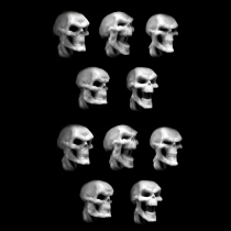 SKULLS SET (10)