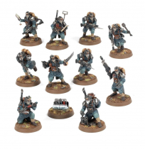 DEATH KORPS OF KRIEG VETERAN GUARDSMEN