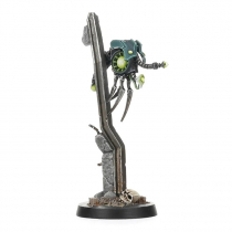 PLASMACYTE ACCELERATOR