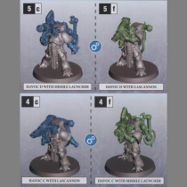 2 CHAOS SPACE MARINES HAVOCS WITH MISSILE LAUNCHER OR LASCANNON