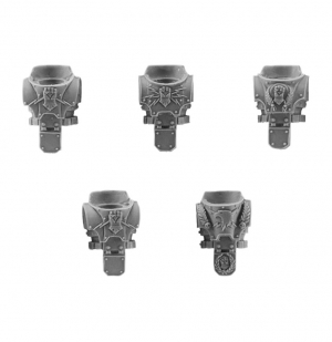 IMPERIAL FISTS LEGION UPGRADE SET - TORSOS