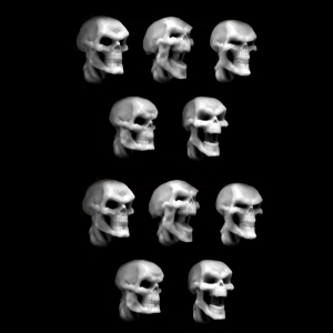 SKULLS SET (10)