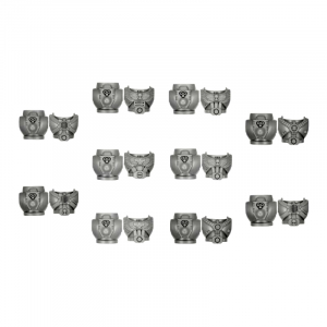 SPACE MARINE TACTICAL SQUAD TORSOS (10)