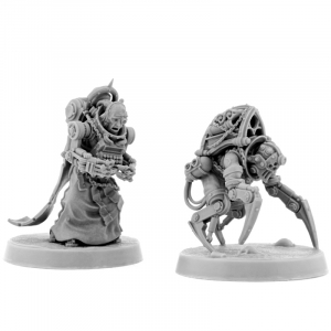 IMPERIAL CHAPTER BOOKKEEPER WITH SERVITOR