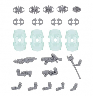 VAN SAAR ENERGY SHIELD SET