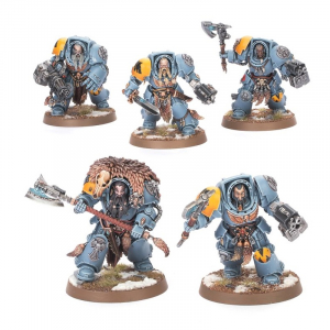 WOLF GUARD TERMINATORS