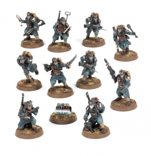 DEATH KORPS OF KRIEG VETERAN GUARDSMEN