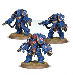 PRIMARIS AGGRESSORS