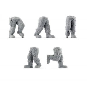 SAVALAT 3RD COMMANDO BRIGADE LEGS (5)