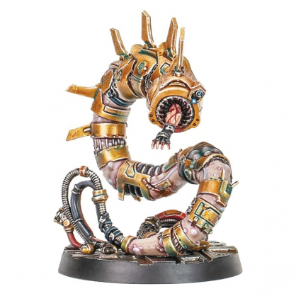 SERVANT OF THE SILENT ONES