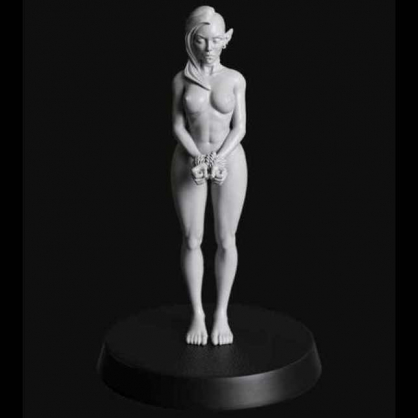 CAPTURED NAKED FEMALE SHADOW ELF PRISONER