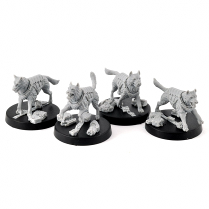 UNITY COUNCIL STIM HOUNDS