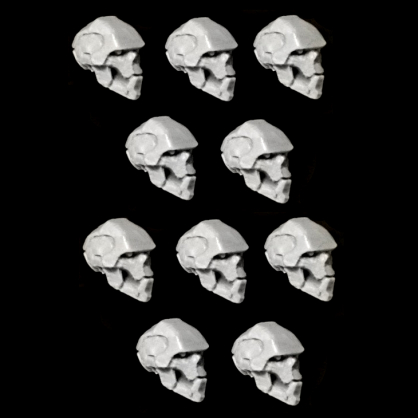 CYBER UNDEAD WARRIORS HEADS (10)