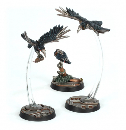 CAWDOR SHEEN BIRDS