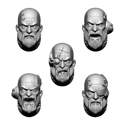 IMPERIAL TEMPLAR HEADS SET (5U)