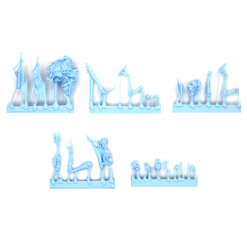 ASH WASTE NOMADS WY'TARI STORMCALLER