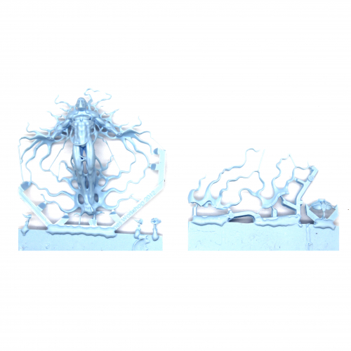 TRANSCENDENT C’TAN