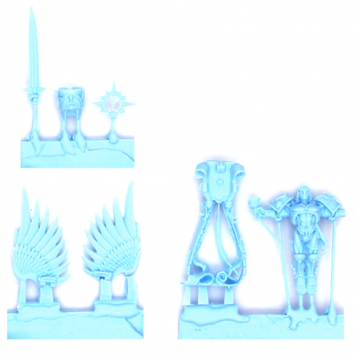 THE SANGUINOR, EXEMPLAR OF THE HOST