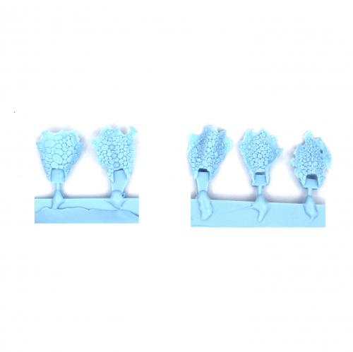 SALAMANDRA OR DRAGONS CLOAKS