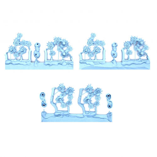 CANOPTEK SCARAB SWARMS