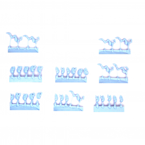 TYRANID HORMAGAUNT BROOD