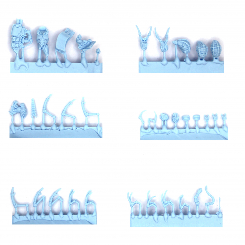 VAN SAAR CHAMPION IN CARAPACE ARMOUR WITH CYBERACHNIDS