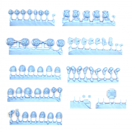 VANGUARD VETERAN SQUAD