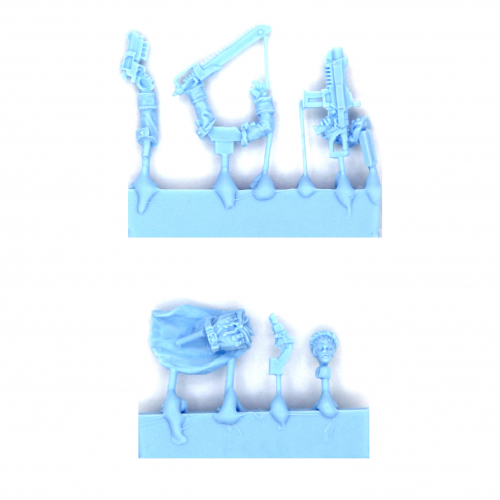 WINTER OFFICER SPRUE FEMALE