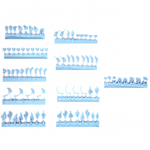 KROOT CARNIVORE SQUAD