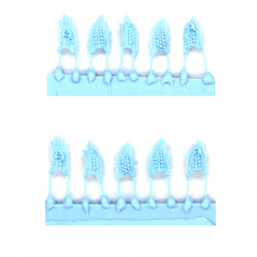 SALAMANDRA / DRAGONS - TABARDS