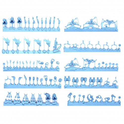 PTERAXII SKYSTALKERS