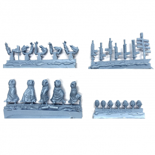 REGIMENTS FEMALE ROBED CULTIST SQUAD (5)