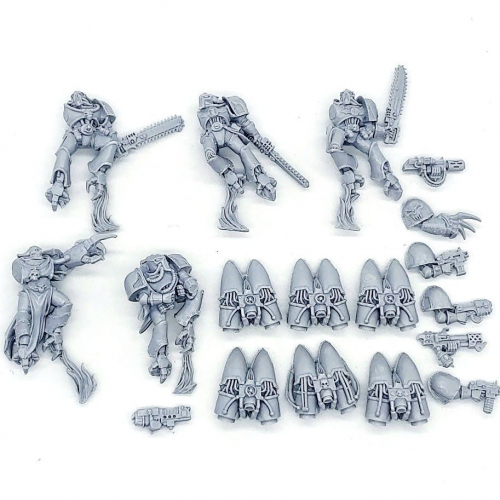 CHAOS MARINE RAPTORS