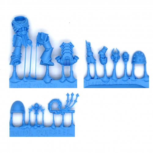 TRAITOR OVERSEER CONSUL