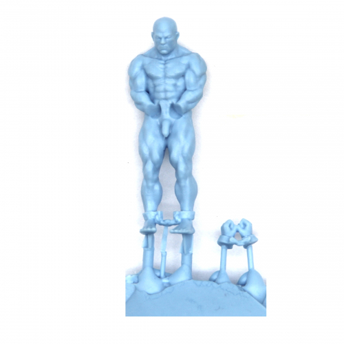 CAPTURED NAKED WARRIOR 2