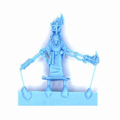 WARRIOR ACOLYTE WITH FLAMER