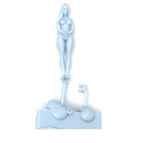 NAKED FEMALE PRISONER