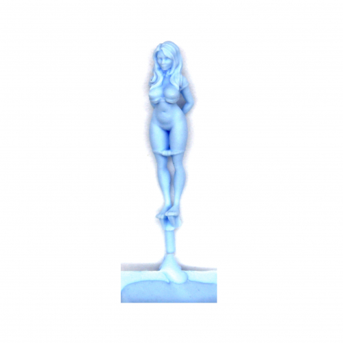 FEMALE SUBMISSIVE (UNDRESSED AND BOUND)