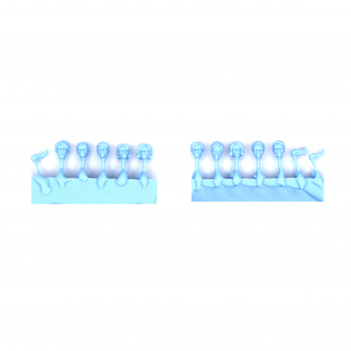 HEROIC SCALE FEMALE HEADS