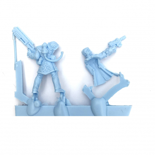 ROGUE TRADER ENTOURAGE AND VOIDSMEN-AT-ARMS