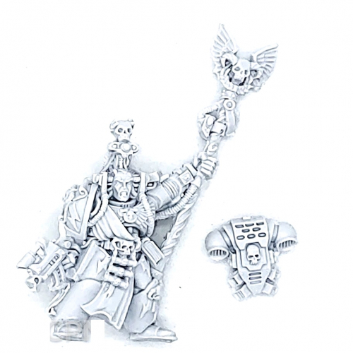 CHIEF LIBRARIAN VARRO TIGURIUS