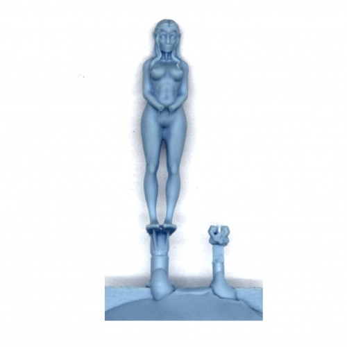 CAPTURED NAKED FEMALE HIGHBORN ELF PRISONER 1