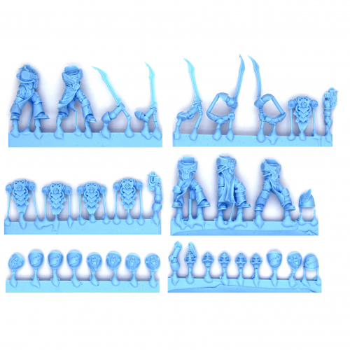 EMPEROR'S CHILDREN LEGION PALATINE BLADES SQUAD