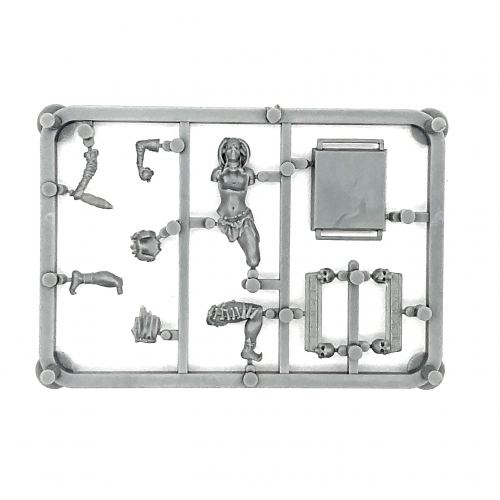 PRIESTESS AND MAN CATCHERS