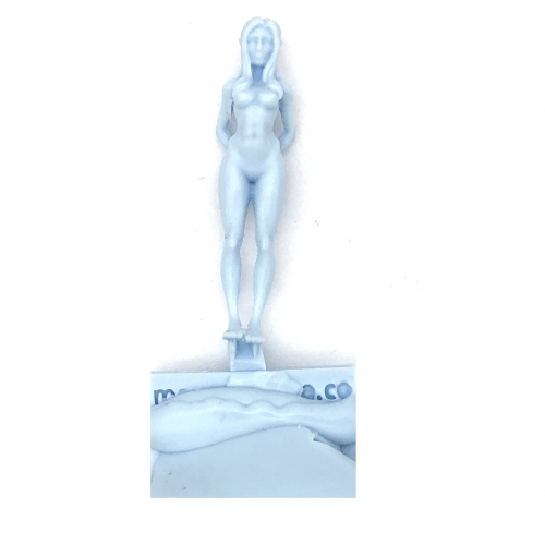 CAPTURED NAKED FEMALE HIGHBORN ELF PRISONER