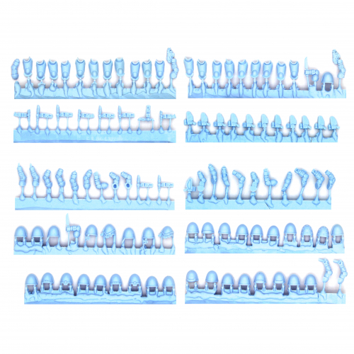 PRIMARIS INTERCESSORS