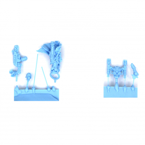 EMPEROR SISTER WITH FLAMER