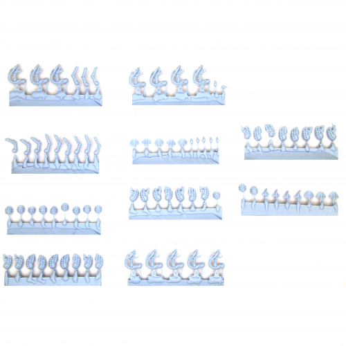 TYRANIDS TERMAGANT BROOD