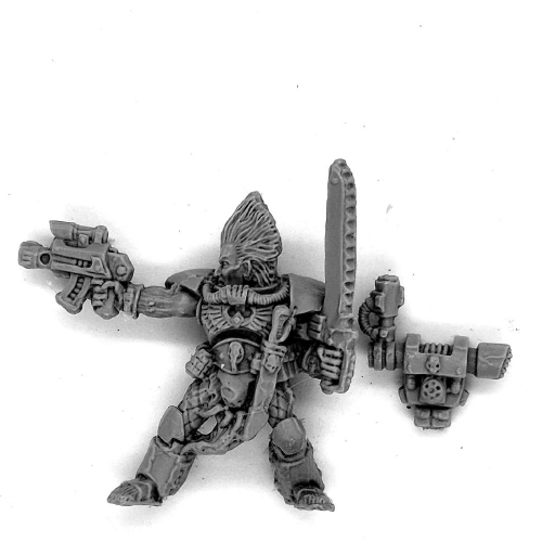 SPACE WOLVES SCOUT OLD